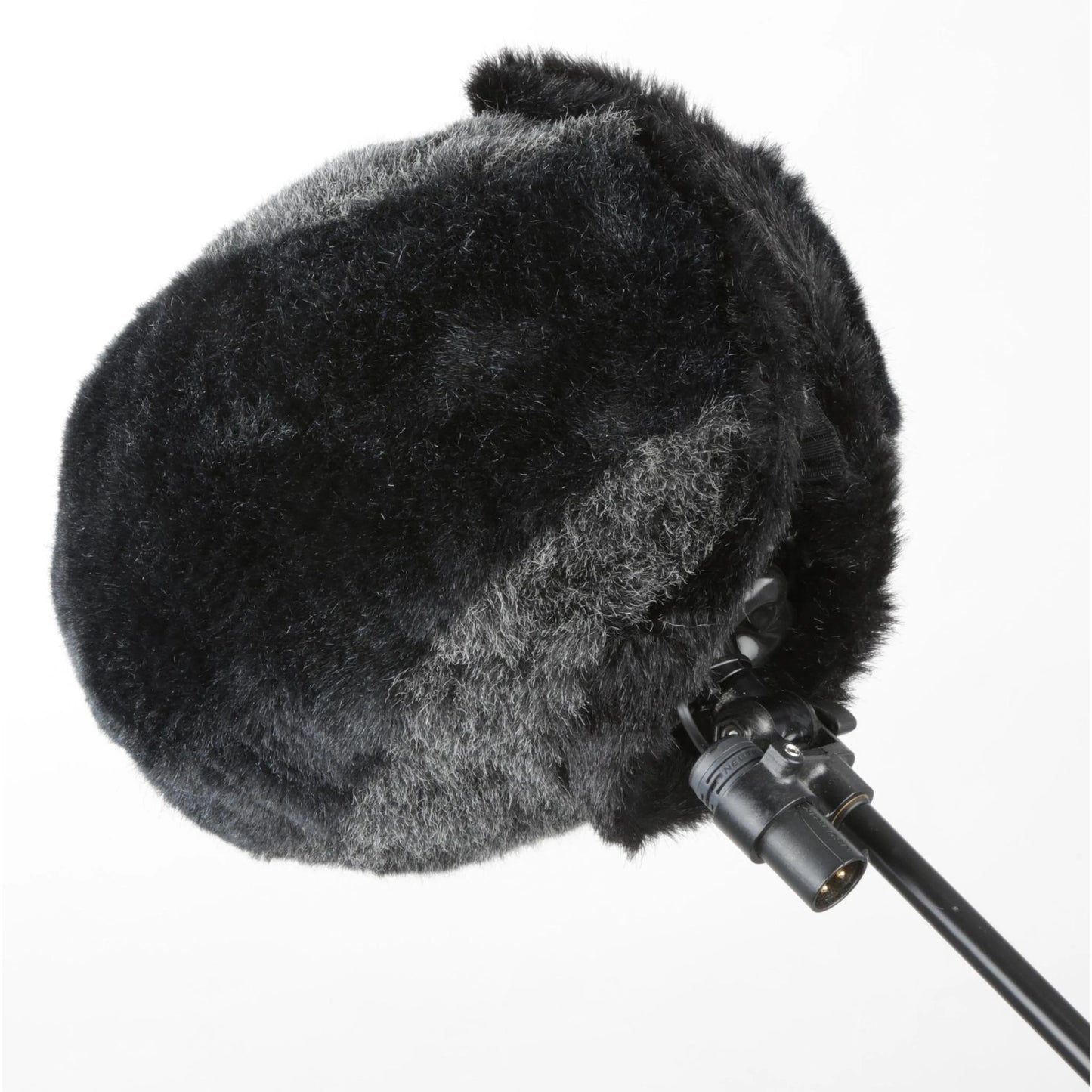 Zephyx - 8050 Cinela | Wonka Audio