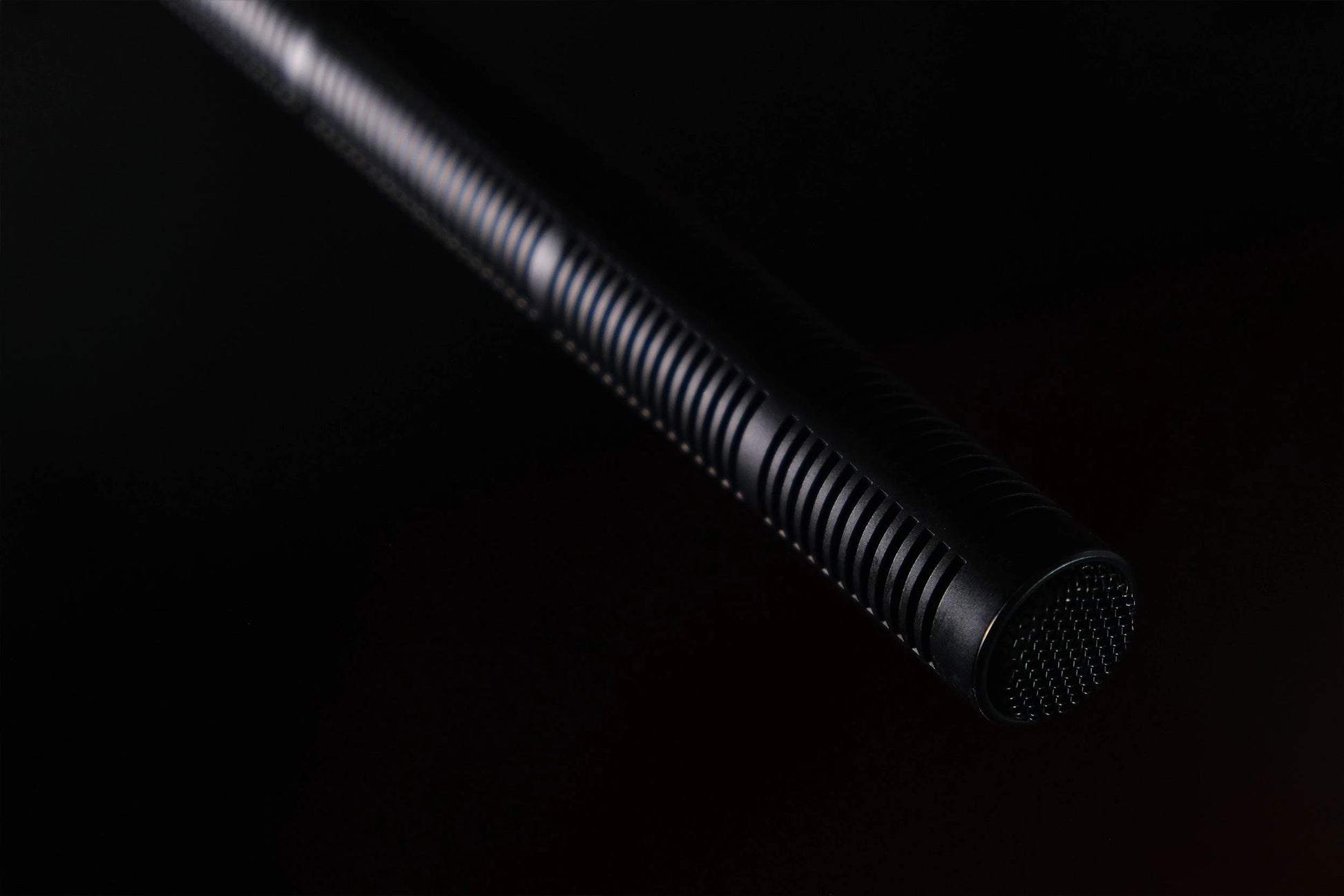 MKH 70  Sennheiser |  Wonka Audio