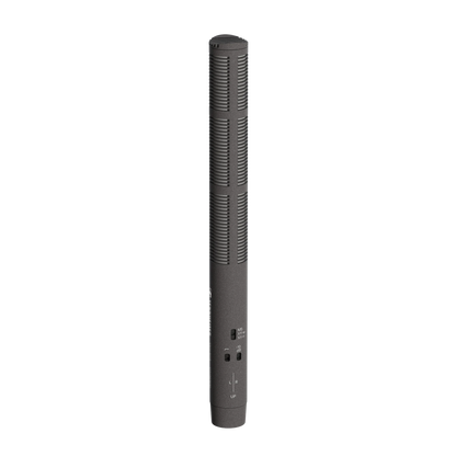 Sennheiser -  MKH 8018 -   |  Wonka Audio